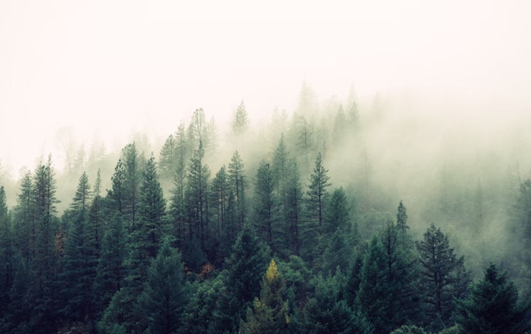 Dense Fog Advisory Issued for Portland and Vancouver Metros, Challenging Morning Commutes