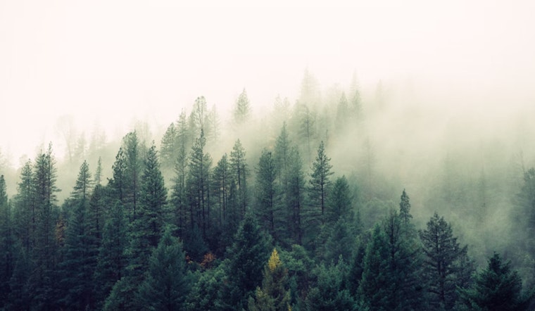 Dense Fog Advisory Issued for Portland and Vancouver Metros, Challenging Morning Commutes