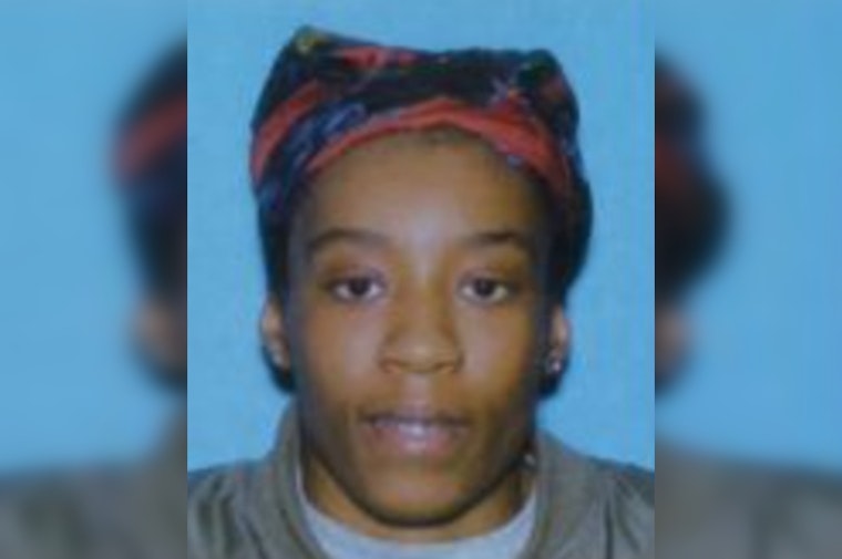Detroit Community and Police Seek Assistance in Search for Missing 27-Year-Old Woman, Brianna Blow