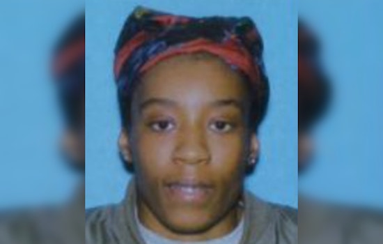 Detroit Community and Police Seek Assistance in Search for Missing 27-Year-Old Woman, Brianna Blow
