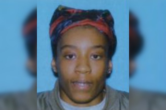 Detroit Community and Police Seek Assistance in Search for Missing 27-Year-Old Woman, Brianna Blow