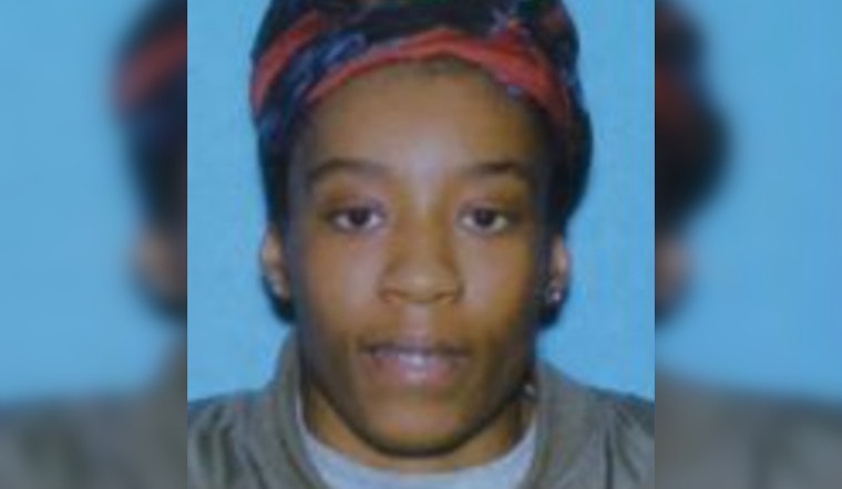 Detroit Community and Police Seek Assistance in Search for Missing 27-Year-Old Woman, Brianna Blow
