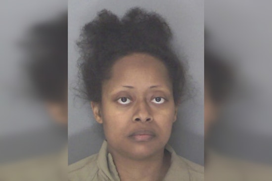 Douglasville Mother Charged with Murder after Toddler Dies in Freezing Temperatures, Community Mourns Loss
