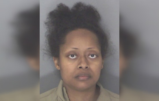 Douglasville Mother Charged with Murder after Toddler Dies in Freezing Temperatures, Community Mourns Loss