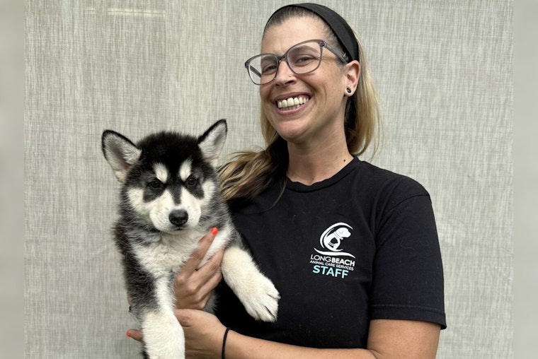 Dr. Melanie Wagner Takes Helm as Manager of Long Beach Animal Care Services