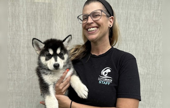 Dr. Melanie Wagner Takes Helm as Manager of Long Beach Animal Care Services