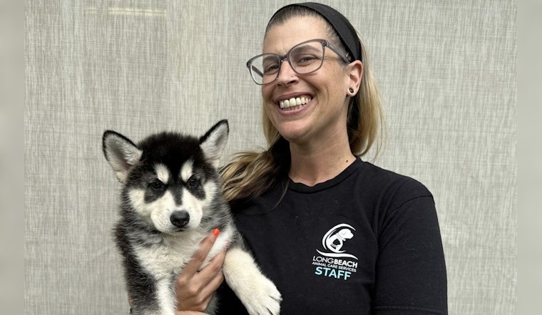 Dr. Melanie Wagner Takes Helm as Manager of Long Beach Animal Care Services