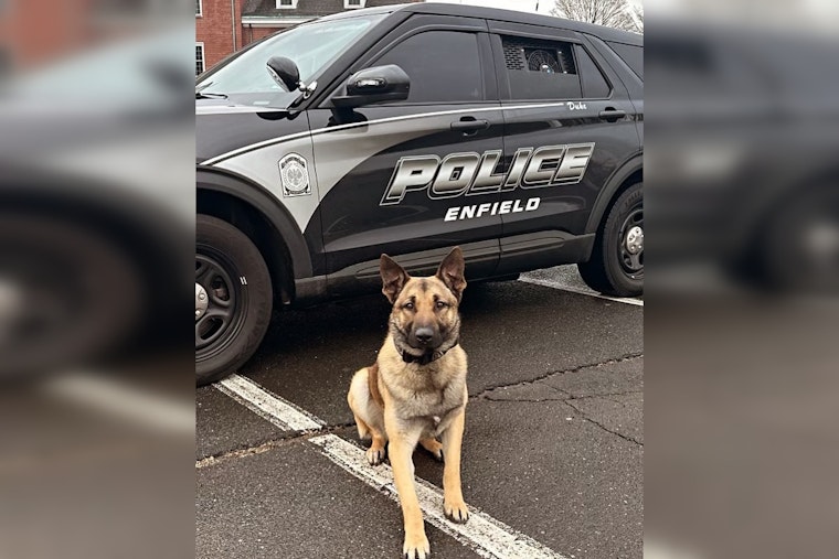 Enfield Police K9 Duke Sniffs Out Juveniles After High-Speed Chase Ends in Neighborhood
