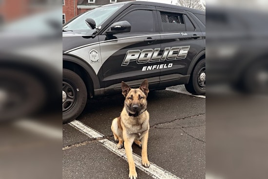 Enfield Police K9 Duke Sniffs Out Juveniles After High-Speed Chase Ends in Neighborhood