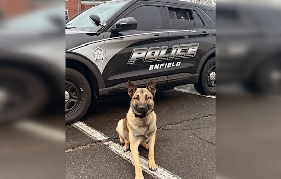 Enfield Police K9 Duke Sniffs Out Juveniles After High-Speed Chase Ends in Neighborhood