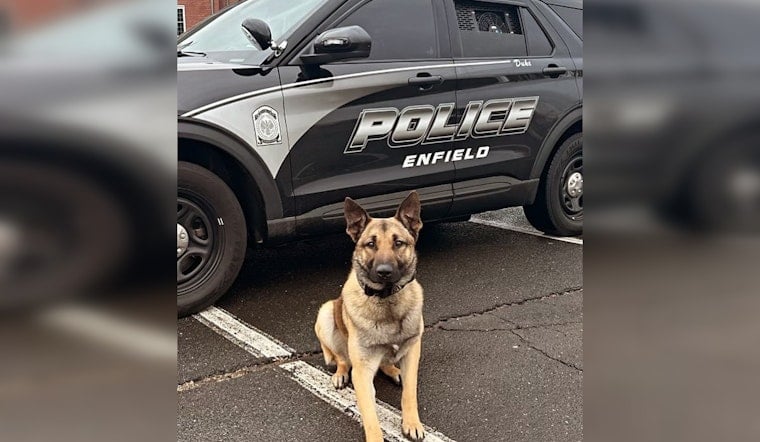 Enfield Police K9 Duke Sniffs Out Juveniles After High-Speed Chase Ends in Neighborhood