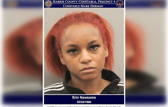 Erin Newsome Detained in Harris County on Five Outstanding Misdemeanor Warrants