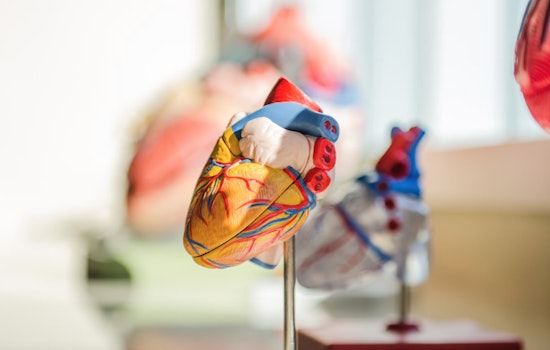 Experts from South Australia and the U.S. Emphasize Awareness and Early Intervention for Seniors to Tackle Heart Disease
