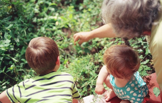 Finnish Study Highlights Grandparents' Key Role in Supporting Mothers' Mental Health