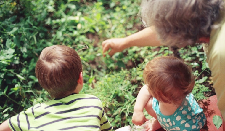 Finnish Study Highlights Grandparents' Key Role in Supporting Mothers' Mental Health
