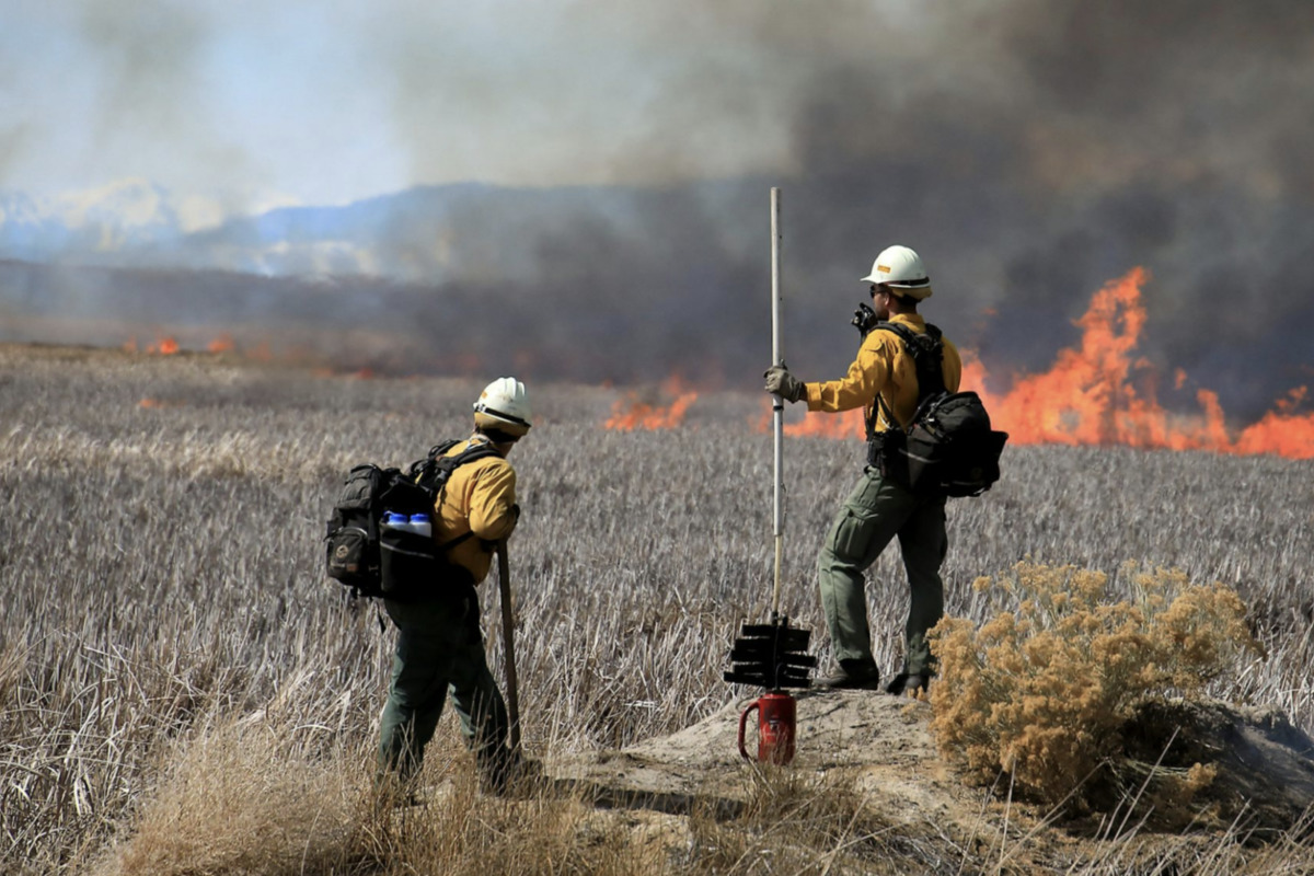 Forest Service Forewarns Financial Frazzle as Wildfire Season Sizzles