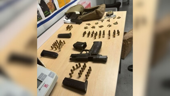 Former Parking Enforcer Arrested in San Diego for Impersonating Police, Illegal Possession of Firearm