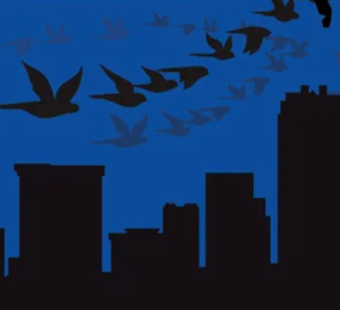Fort Worth Joins "Lights Out" Campaign to Safeguard Migrating Birds Through Texas Skies