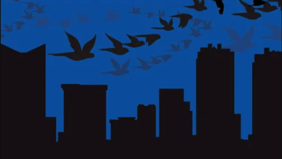 Fort Worth Joins "Lights Out" Campaign to Safeguard Migrating Birds Through Texas Skies