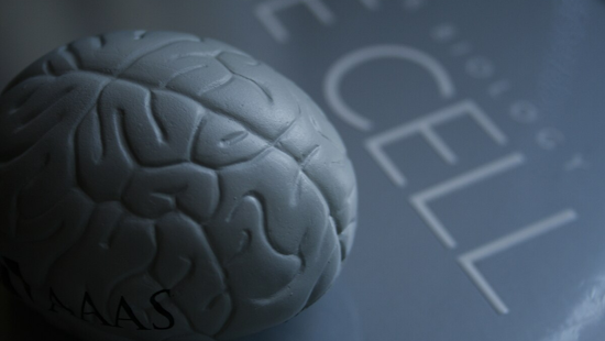 From Washing Hands to Grasping Hope, US Woman's Life Transformed by Pioneering Brain Implant