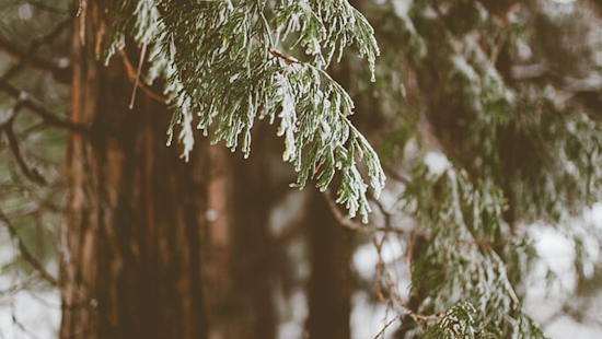 Frost Advisory Issued for Inland Empire, San Diego County Valleys Amid Cold Snap