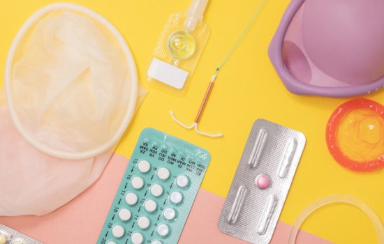 Georgia Senator Elena Parent Champions Access to Contraceptives and IVF With New Bills Amid Reproductive Rights Debate