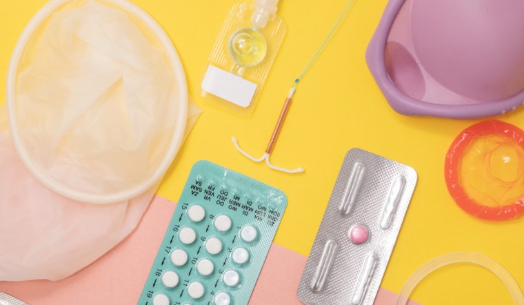 Georgia Senator Elena Parent Champions Access to Contraceptives and IVF With New Bills Amid Reproductive Rights Debate