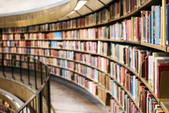 Georgia's Senate Seeks to Monitor School Library Books, May Impose Criminal Charges on Librarians