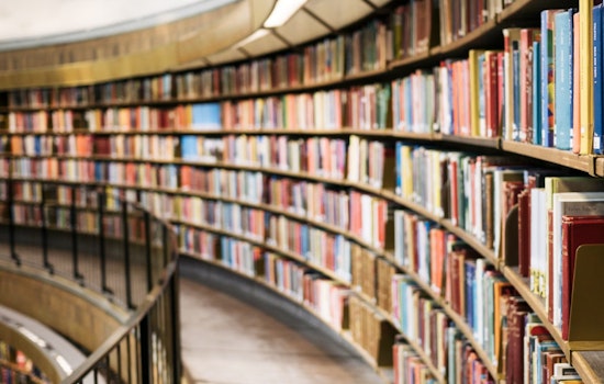 Georgia's Senate Seeks to Monitor School Library Books, May Impose Criminal Charges on Librarians