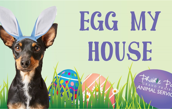 Grand Prairie Animal Services Announces 'Egg My House' Fundraiser for Easter—Entries Limited to City Residents