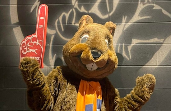 Groundhog Royalty Woodstock Willie Forecasts Early Spring Alongside Punxsutawney Phil
