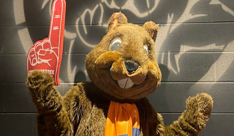 Groundhog Royalty Woodstock Willie Forecasts Early Spring Alongside Punxsutawney Phil