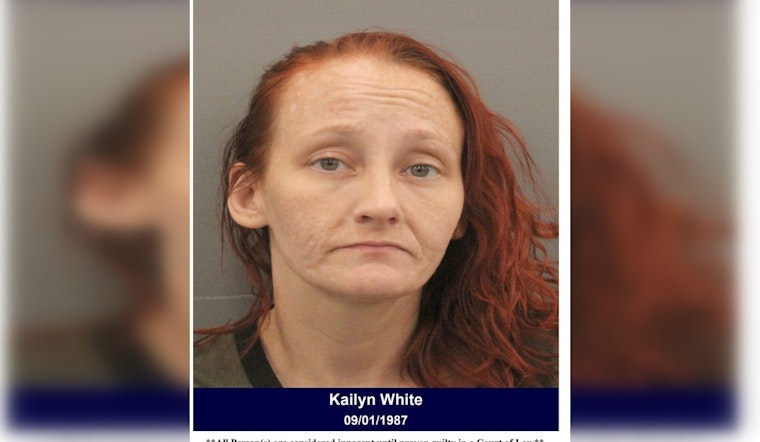 Harris County Authorities Arrest Woman Suspected of Drug Possession Outside Dollar General