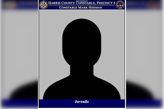 Harris County Deputies Apprehend Juvenile Suspected of Vehicle Theft