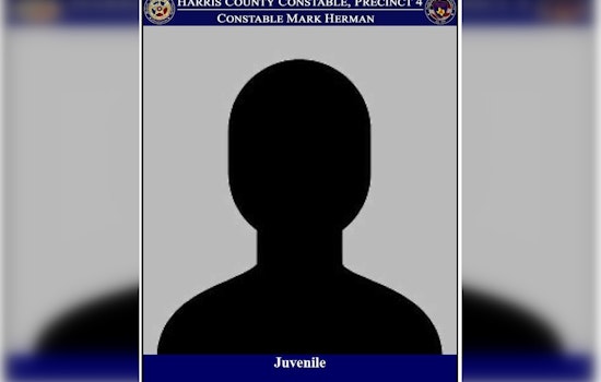 Harris County Deputies Apprehend Juvenile Suspected of Vehicle Theft