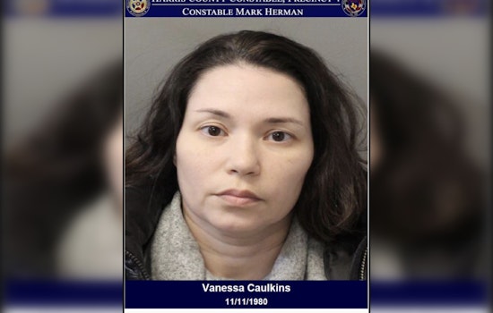 Harris County Deputies Arrest Woman Suspected of DWI After Vehicle Crash on Shady Knoll Lane