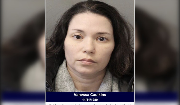 Harris County Deputies Arrest Woman Suspected of DWI After Vehicle Crash on Shady Knoll Lane