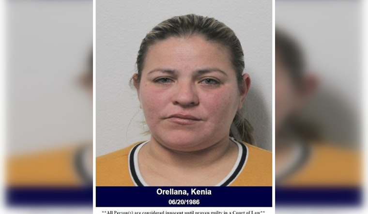 Harris County Woman Charged with Injury to a Child After Assault Incident