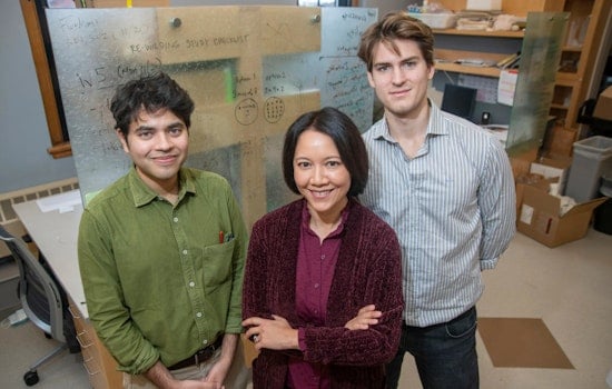 Harvard Huddle, Study Reveals How Your Next Handshake Could Affect Your Health