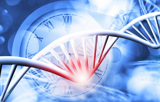 Harvard's Fountain of Youth: Scientists Unveil Epigenetic Clocks to Decode Aging