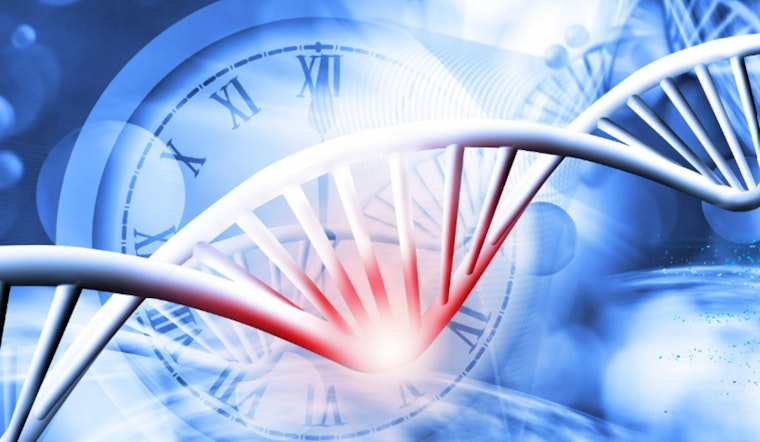 Harvard's Fountain of Youth: Scientists Unveil Epigenetic Clocks to Decode Aging