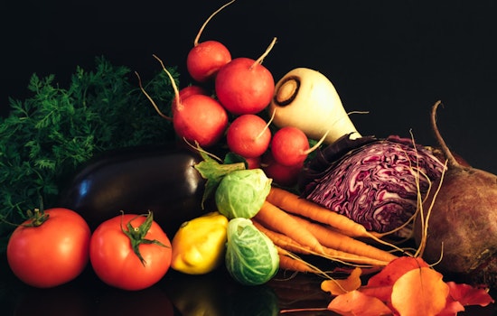 HealthTexas Launches Free Vegetable Initiative for Seniors in San Antonio Area