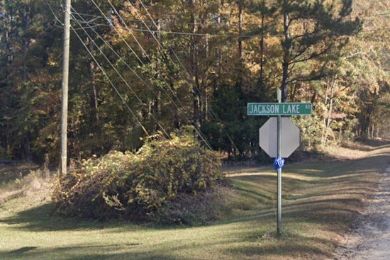 Henry County Girl, 8, Fatally Struck by Car While Boarding School Bus, Driver Charged with Vehicular Homicide