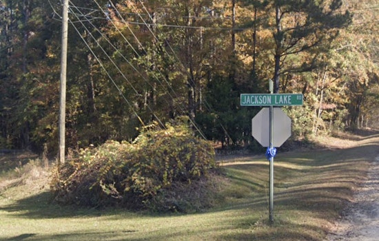 Henry County Girl, 8, Fatally Struck by Car While Boarding School Bus, Driver Charged with Vehicular Homicide