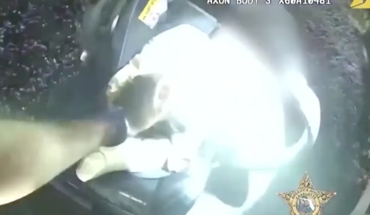 Heroic Florida Deputy Saves Kids from Fiery Crash, Gives Glimmer of Hope with Life-Saving CPR