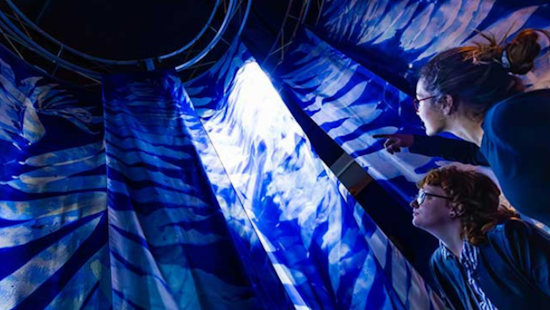 "Hold Fast" at Birch Aquarium in San Diego Merges Art and Science to Address Climate Impact on Kelp Forests