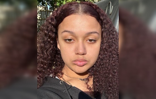 Holyoke Police Issue Urgent Appeal for Information on Missing Woman Last Seen Near Chicopee/Springfield