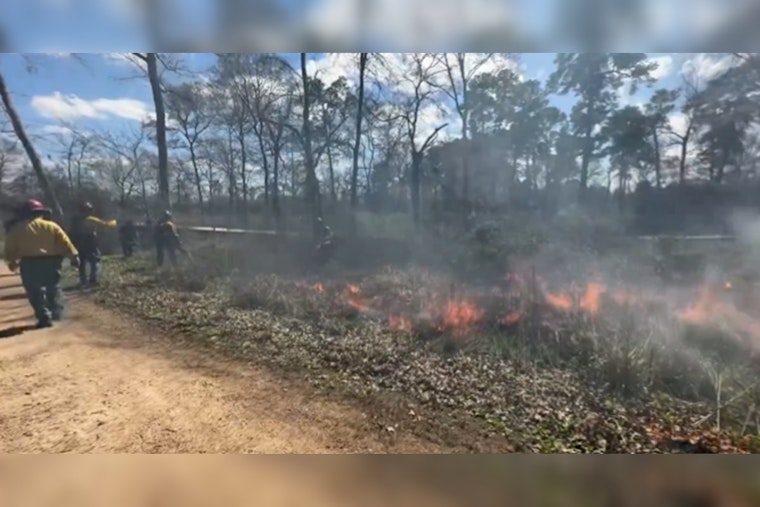 Houston Arboretum Conducts Fourth Prescribed Burn to Reinvigorate Ecosystem and Reduce Wildfire Risk
