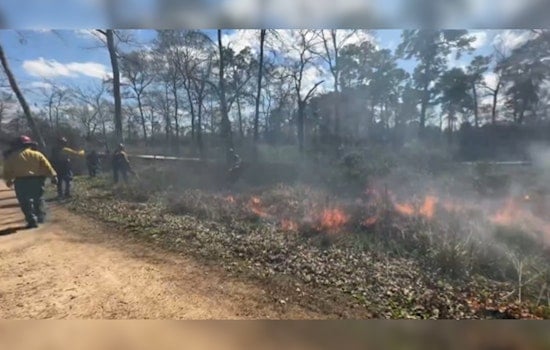 Houston Arboretum Conducts Fourth Prescribed Burn to Reinvigorate Ecosystem and Reduce Wildfire Risk