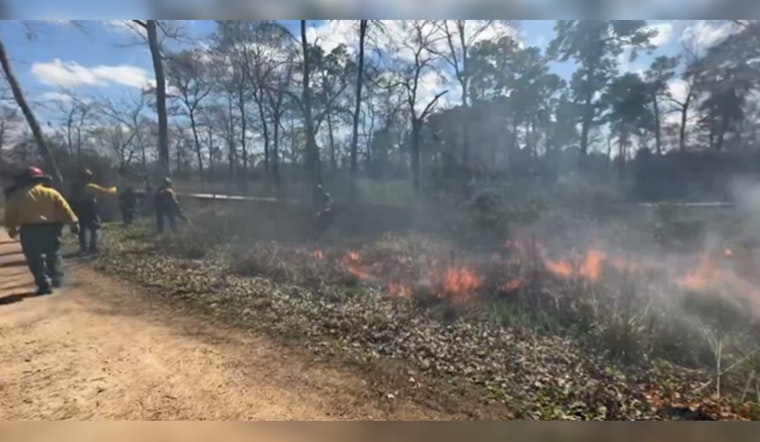 Houston Arboretum Conducts Fourth Prescribed Burn to Reinvigorate Ecosystem and Reduce Wildfire Risk
